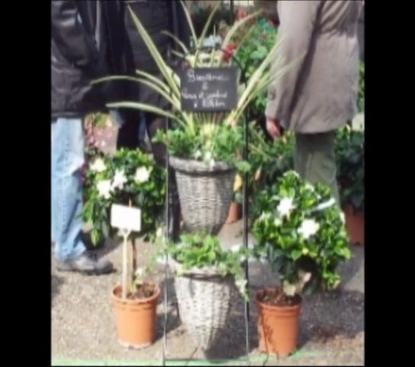 lisledon2012