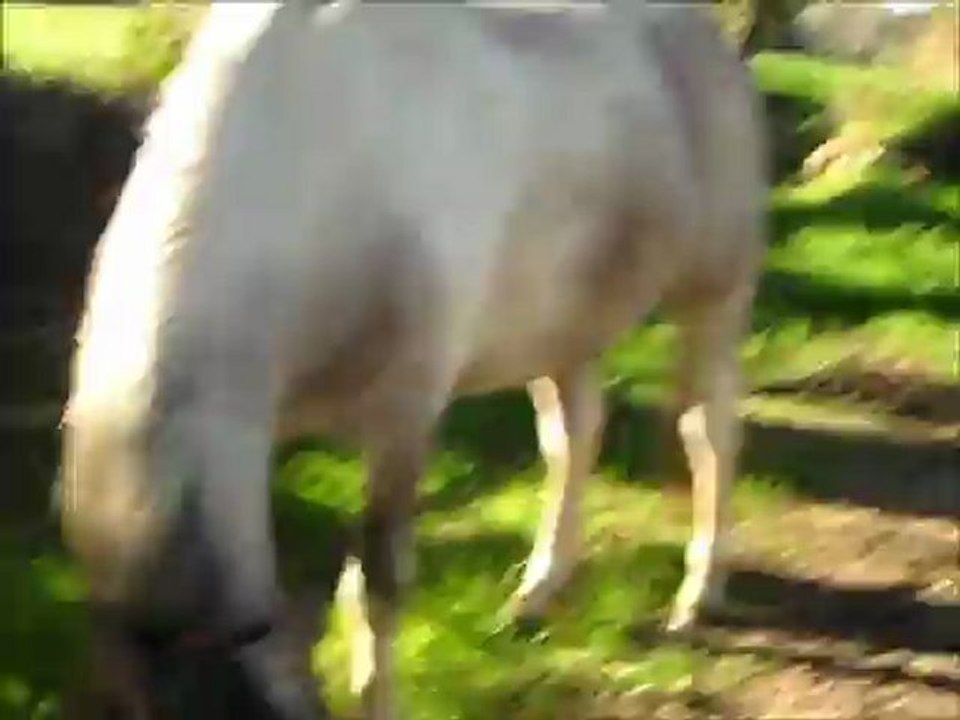 Urane le 1er avril