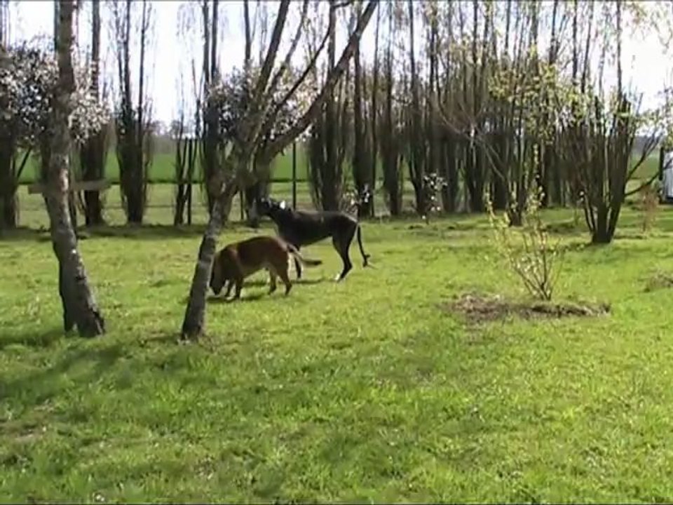 Macisse et Uchka 15 04 2012