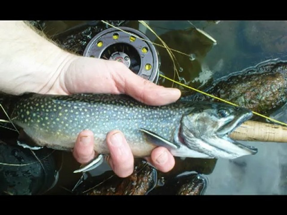 PECHE EN NYMPHE ET STREAMERS