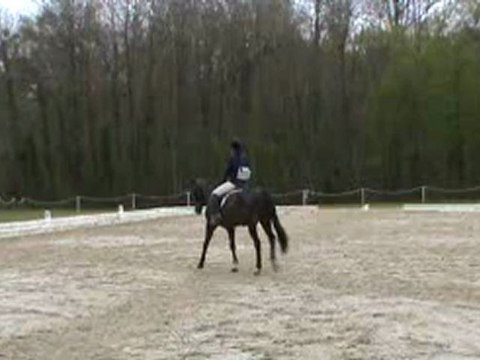 dress oberon fontenay avril 12