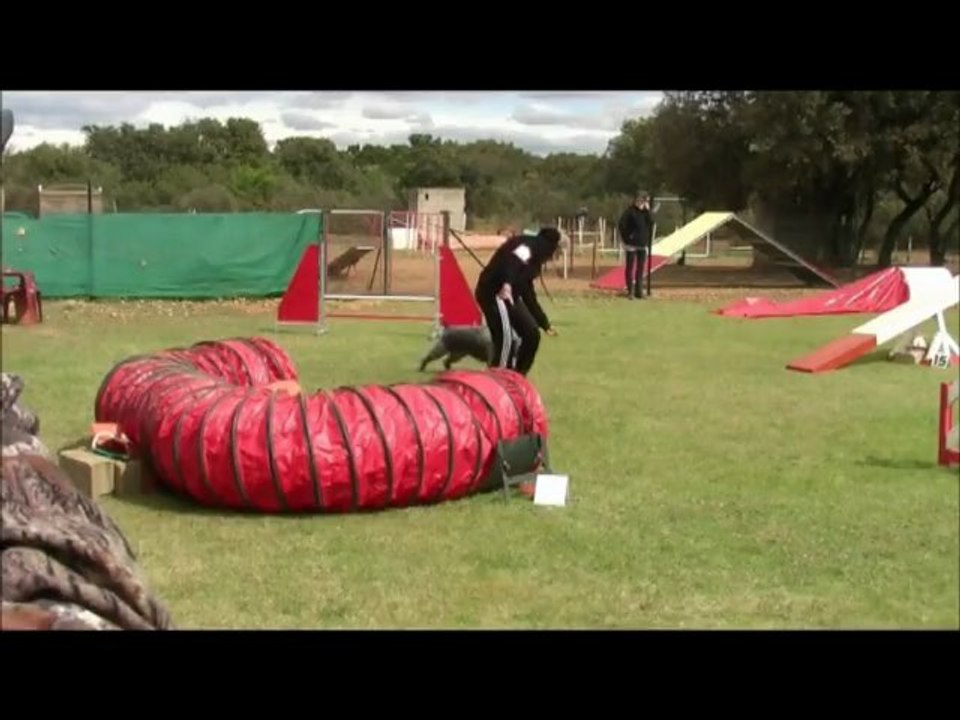 Buck Sélectif GPF 15/04/12