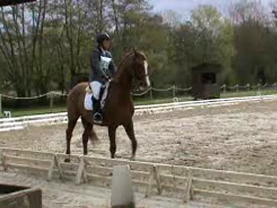 dress vanessa fontenay avril