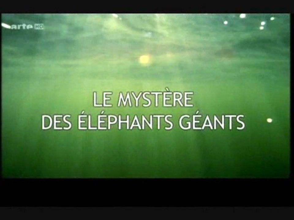 Le mystère des éléphants géants