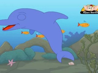 Animal Sounds - Dolphin