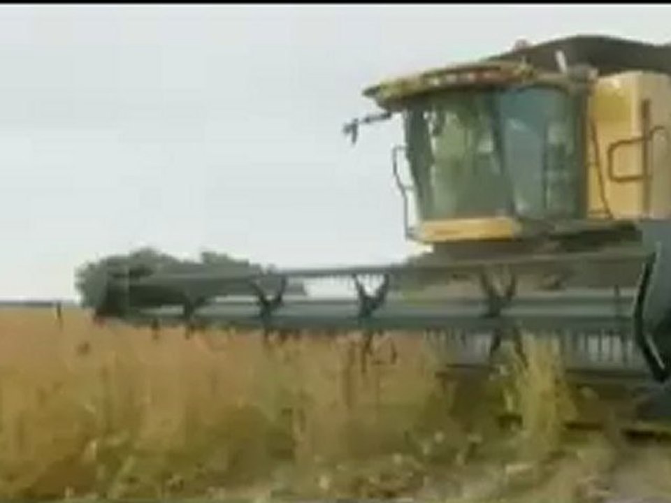 Argentina's farmer strikes - 03 Jun 08