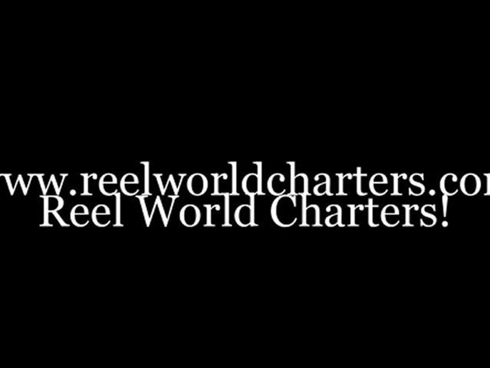 Reel World 2