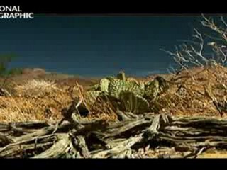 Le Mystère Aztèque 2_2