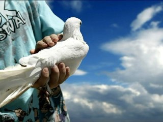 Sarkozy - souvenirs douloureux pour la démocratie (musique Rap)