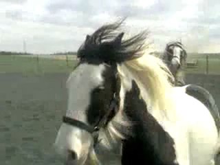 scoubidou et freeze ont la pêche