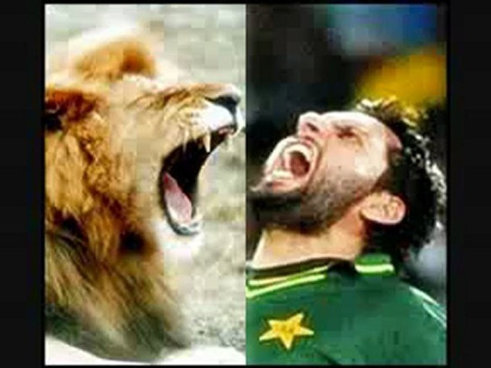 Shahid Afridi Favourite BUNNY of All Time Team India - YouTube