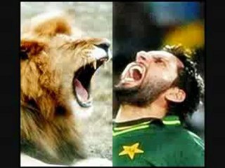 Shahid Afridi Favourite BUNNY of All Time Team India - YouTube