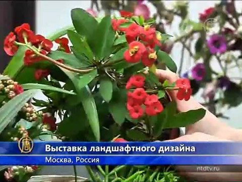 В Москве проходит выставка ландшафтного дизайна