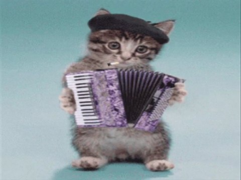 Kedicik - Grup Şurup