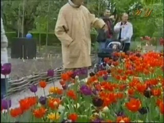 PEYGAMBERİMİZ (SAV) ALLAH'A TAM TESLİM OLMUŞTUR