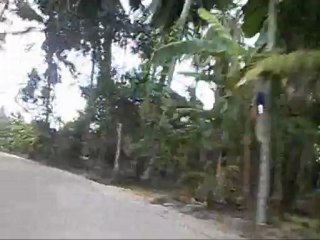 Descente de Best  Mountain View Point