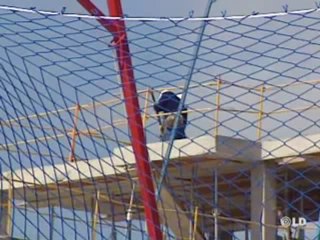 Noticias en Libertad 1ª ed. - 28/02/08