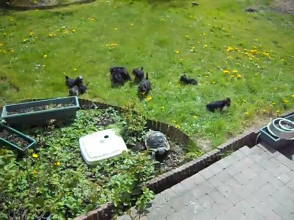 bbs yorkshire au jardin