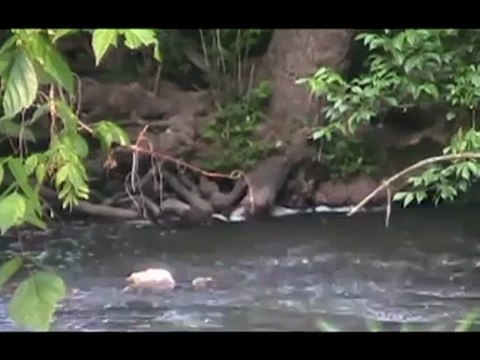 ويوم يعض الظالم على يديه.. مؤثرة جدا بصوت ياسر الدوسري