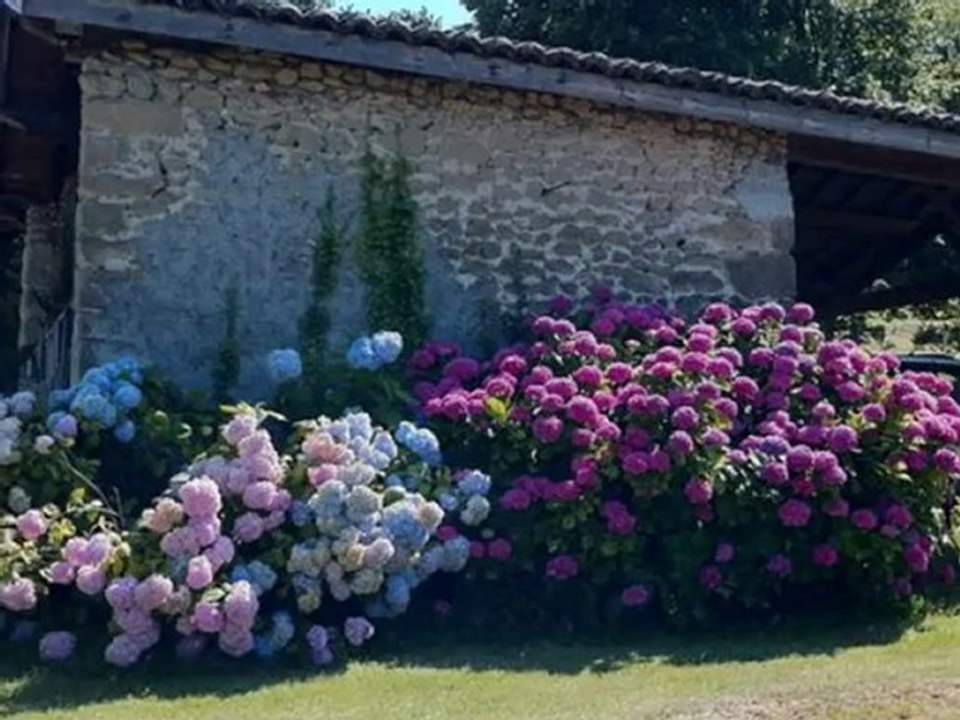 Vente maison en pierre ou ferme dans la Drôme avec parc arboré