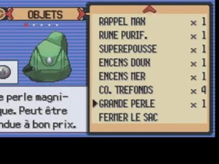 [GBA] Pokémon Version Émeraude - 18 : Enfin le badge Esprit !