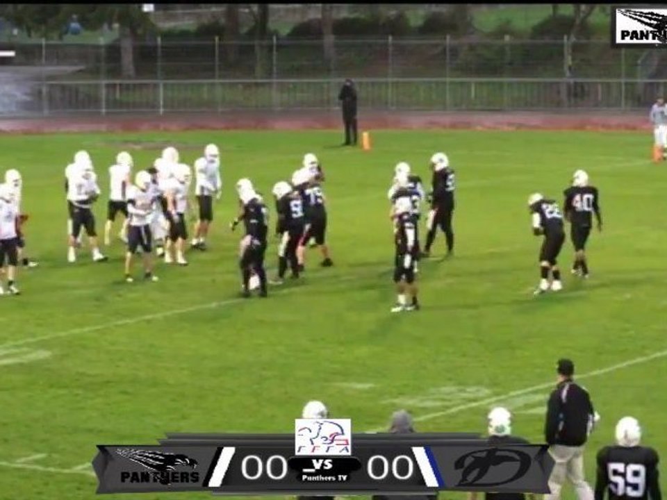 Black Panthers - Dauphins