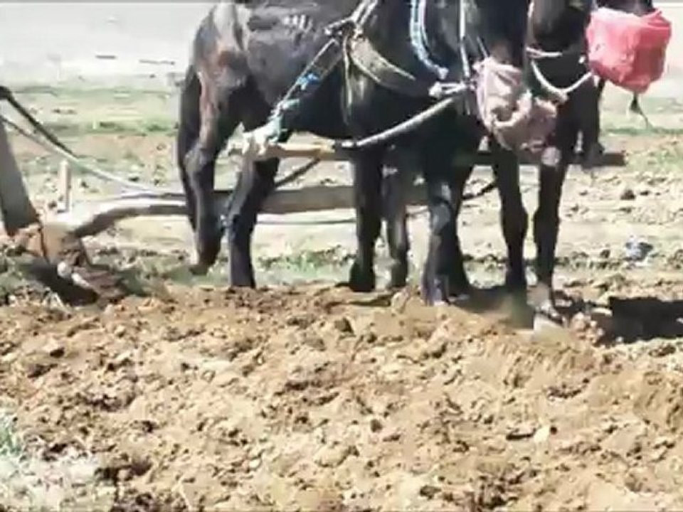 Ethical Travel - Morocco - Vie Berbere - Nature - Athenticite - Decouverte - Insolite Maroc