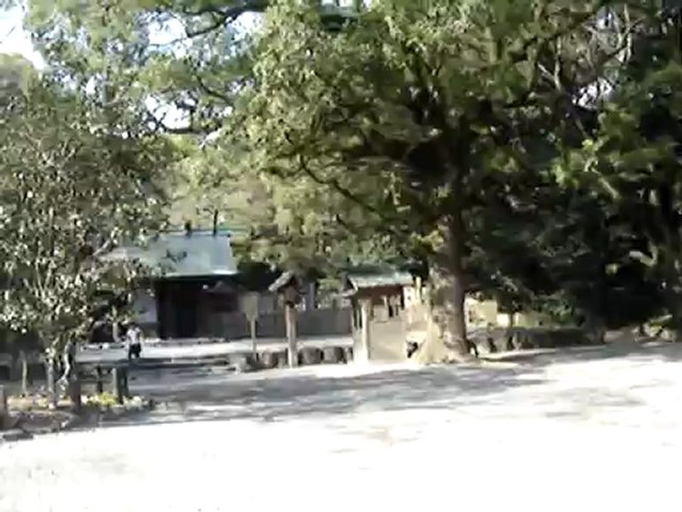 MOV09966