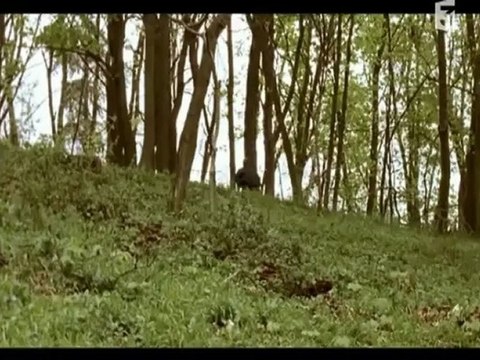 Louis la brocante - Louis et les enfants perdus - partie 3/9