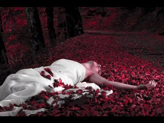 Danijela - Zivim da zivim