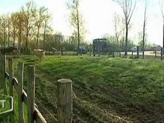 Ouverture du Marais communal du Poiré-sur-Velluire