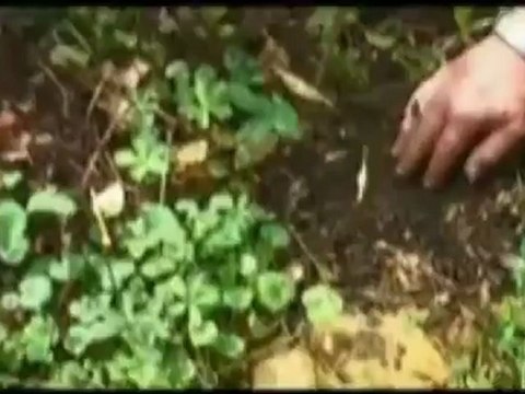 Claude et Lydia Bourguignon