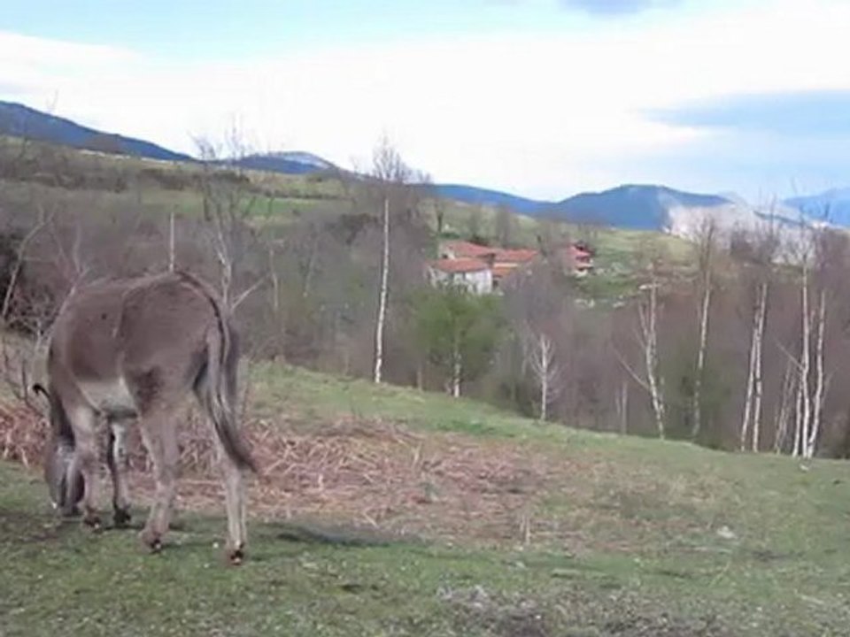 MVI_0945