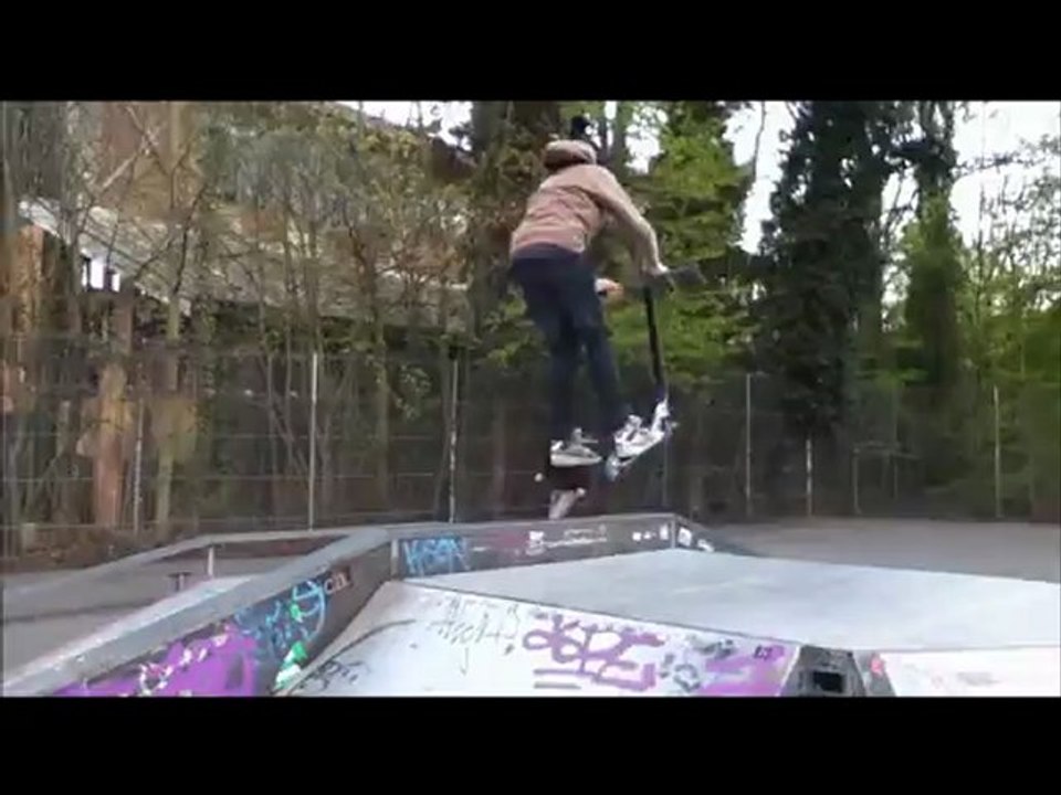 Edit de Nelson à Meudon