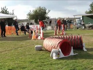 Concours Lunéville 2012 - Les borders