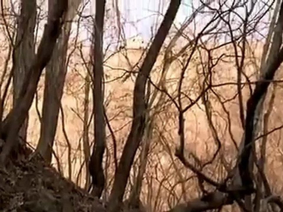 İlkbahar Yaz Sonbahar Kış … ve İlkbahar 6 & Film by Kim Ki Duk