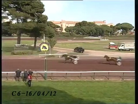 Provence Venus Hyères