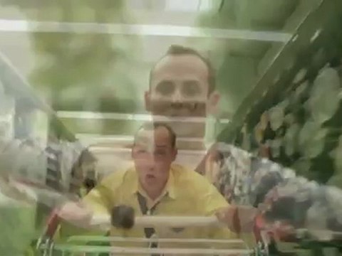 LES FRAISES DES BOIS