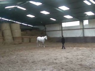 14.04.2012.n.sing.s8