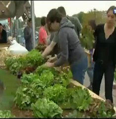 Nuit verte couverture Média