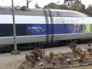 TGV au ras des paquerettes!