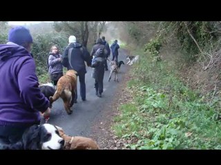 Sortie éducation Moulin du Duc, Lannion, 22/01/12
