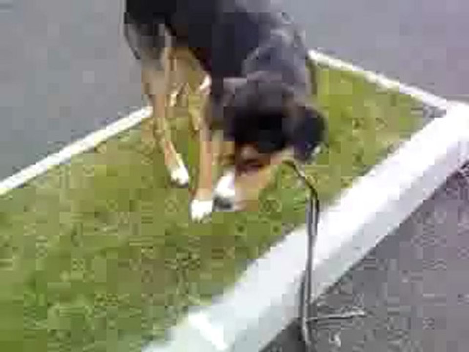 Vidéo-0002