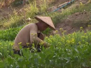 Assignment Earth - Damming the Mekong - 23 Jun 07- Part 1