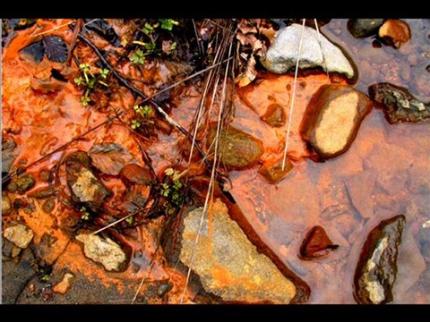 Libre l'eau des rivières par Fico