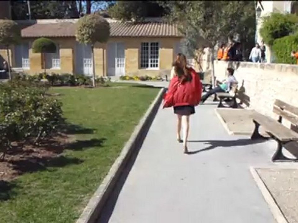 Les Y en politique - Le tractage.