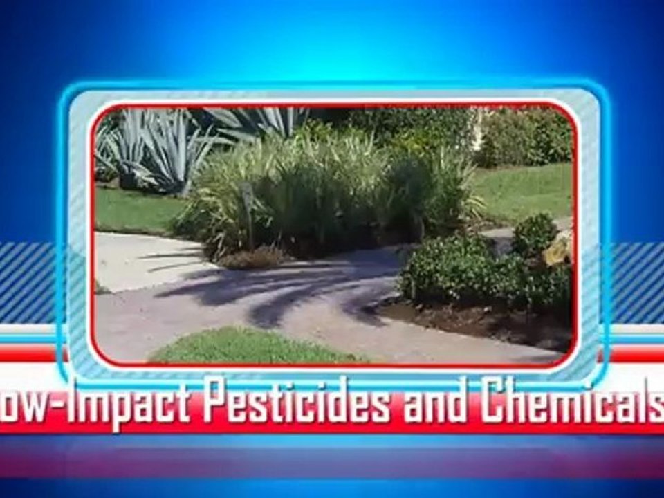 Pest Control Longboat Key | Hoskins Pest Control serves Long Boat Key 941-485-6513