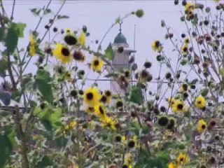 God's Business - Islam in Israel - 01 Oct 07 - Ep 3 Part 2