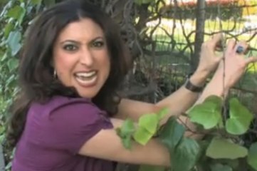 Digital Video Malfunction Creates Trippy Frame-by-Frame FUN!!