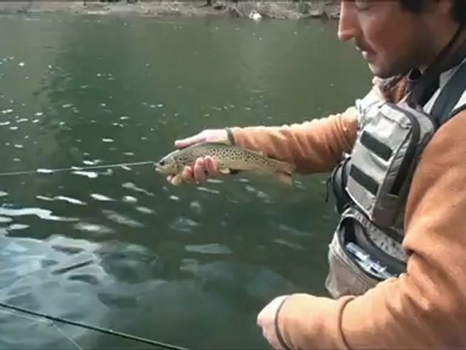 Truite à la mouche-Fly fishing in trout in France